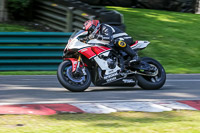 cadwell-no-limits-trackday;cadwell-park;cadwell-park-photographs;cadwell-trackday-photographs;enduro-digital-images;event-digital-images;eventdigitalimages;no-limits-trackdays;peter-wileman-photography;racing-digital-images;trackday-digital-images;trackday-photos